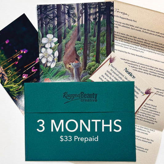 Gift 3 Months